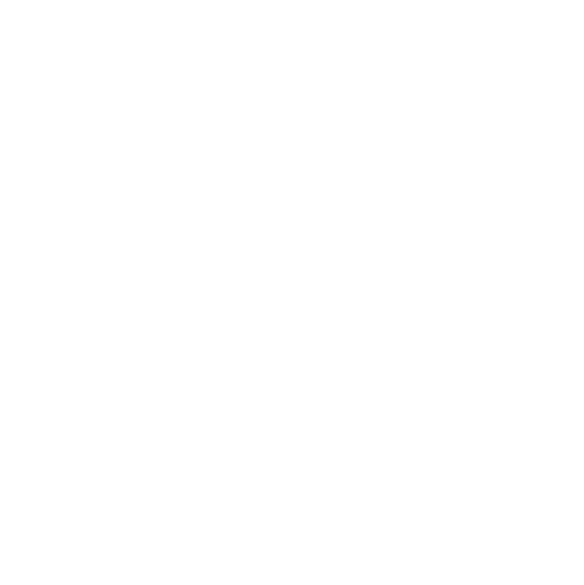 The Wellness Plan Medical Centers logo